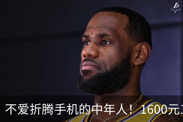 不爱折腾手机的中年人！1600元16+512首选这3台，耐用流畅