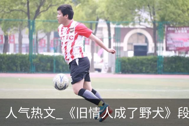 人气热文 《旧情人成了野犬》段复津谈轻棠 谈雾亦段珩常