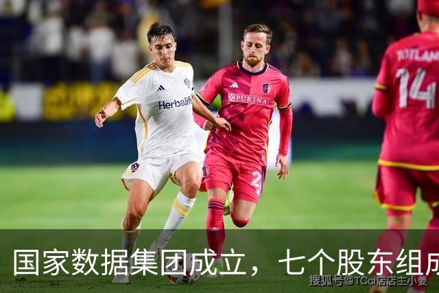 国家数据集团成立，七个股东组成天团
