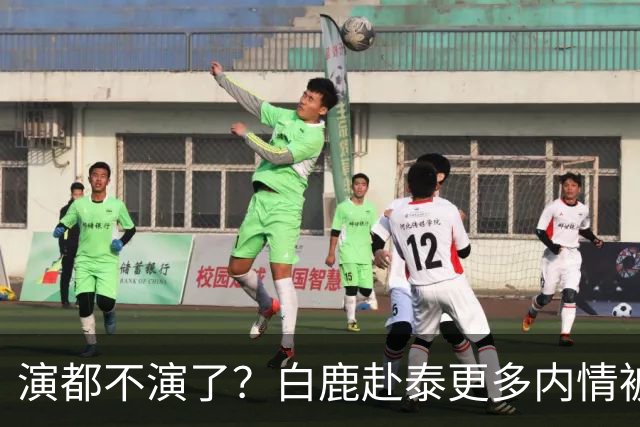演都不演了？白鹿赴泰更多内情被扒，众星被连带，难怪不取消活动